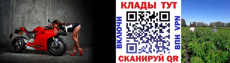 Наркошоп купить Псилоцибиновые грибы МЕФ COCAIN ГАШИШ МАРИХУАНА СОЛЬ Краснодар