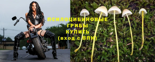 ГАЛЛЮЦИНОГЕННЫЕ ГРИБЫ Алексин