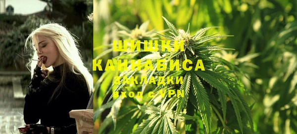 амф Козловка