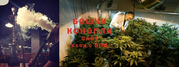 ГАЛЛЮЦИНОГЕННЫЕ ГРИБЫ Алексин
