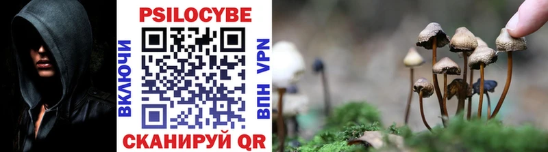 Псилоцибиновые грибы Psilocybine cubensis  Купить закладки  Краснодар 